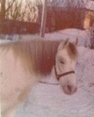 Gustaf